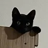maaju_venancio