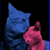 tvgirls_cat