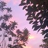 josue35949494040404