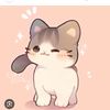 kittykatklutch