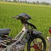 upinsukalumba