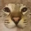 vepsukka7