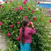 sadevi.shahi123