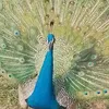 rajeethan.mathu