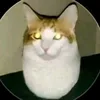 atmonki