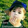 bekicot_kejepit