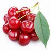 user853706189