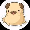 pug6877