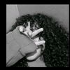 genettesfayyee