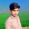 salmanhaider9339