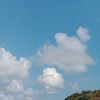 zhyy_sukaaacellll