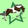 kht.de.gunfard