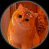 creator_girl49