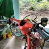wongspelee110
