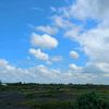 _bagirov_774