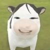usrrnwm3