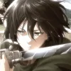 ngh4nw_mikasa