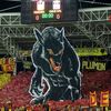 hippo_527