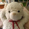 teddyaming