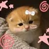 user0807z