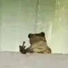 user3obdrga2lq