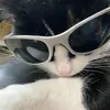 chann_bj