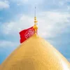 s_m_r_a_f313