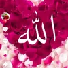 user6309655139939