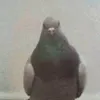 msidn_125