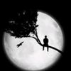 user61500816151851