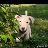 aylin_319_456