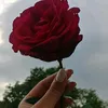 user8639086818245