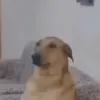 aa_nikits0