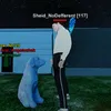 sheid_ndf