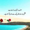m.ayaan2894