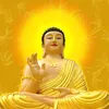 thailuu65
