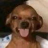 krsthr_9