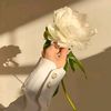nour.jwayed