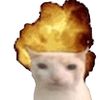 dipvv_a
