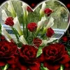 user3790021217353