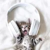 joybrowser121