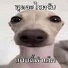 user36002599465161