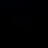 elvin123411_3