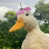 maryam.maryam5308