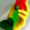 user1261281381327