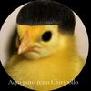chetosflamix