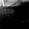 _aa0liveiraa