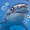 sharkos_editz46