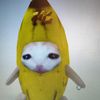 ismael_paez4