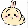 literally_usagi_fr